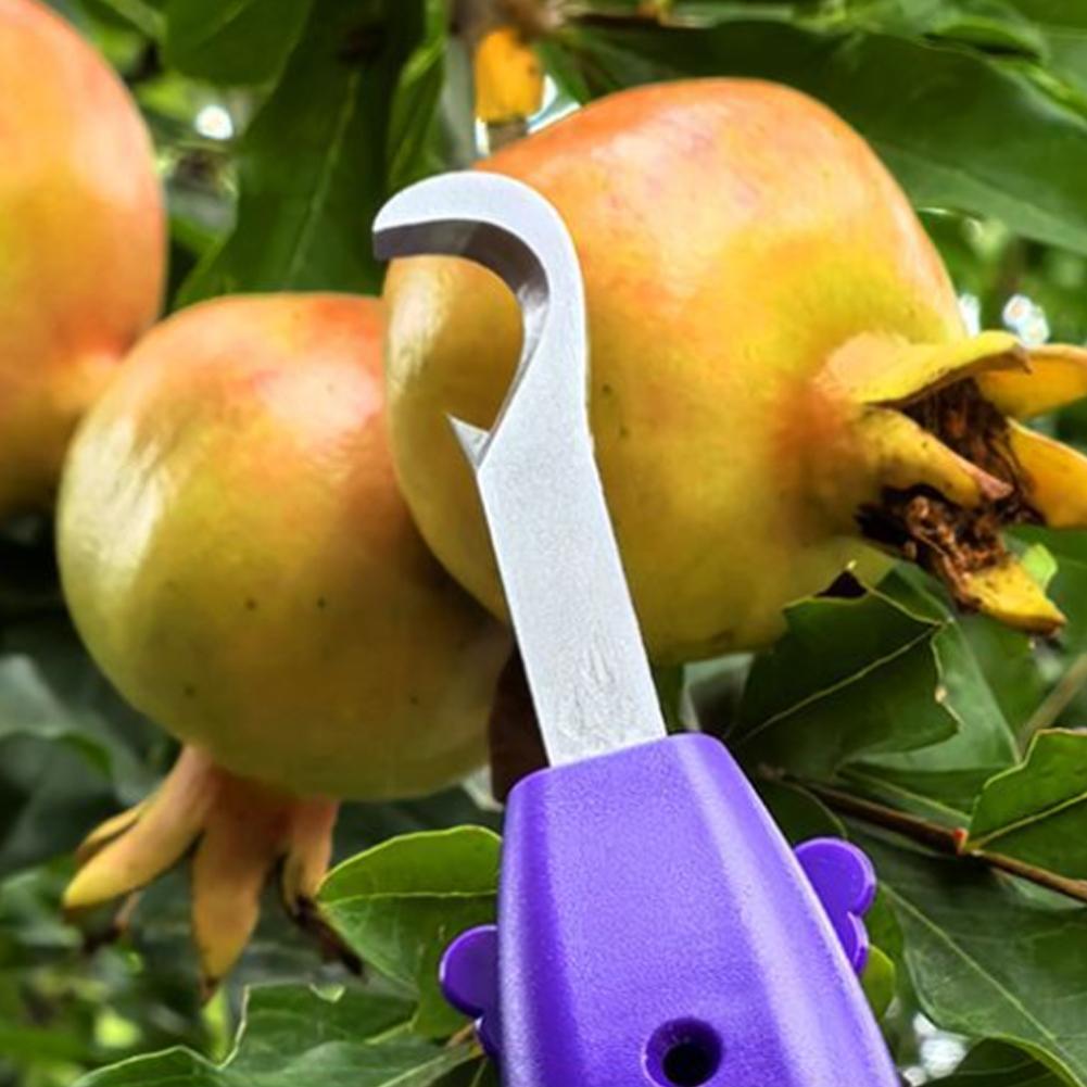 Gardening Tools Vegetables - 휴대용 과일 채소 빠른 수확 다기능