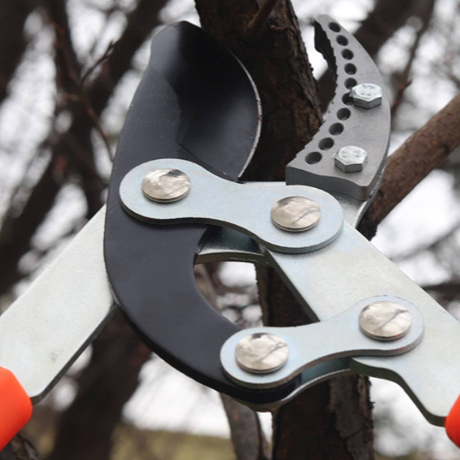 Pruning Shears - 텔레스코픽 가지치기 가위 날카로운 칼날 튼튼한