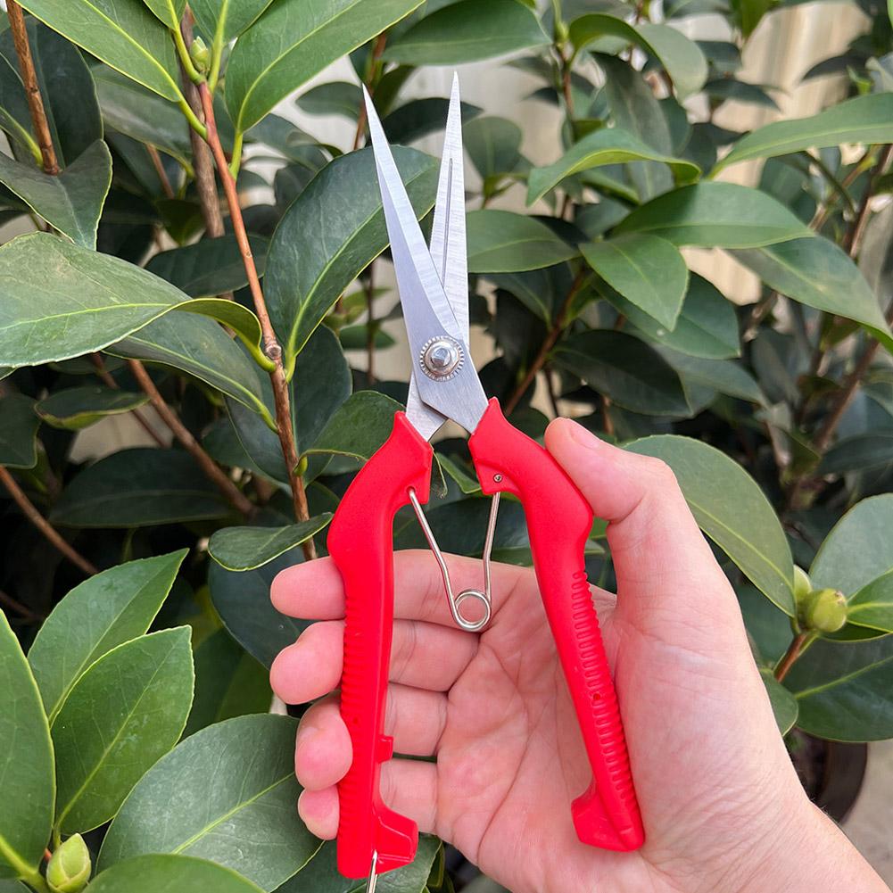 Gardening Tools Vegetables - 프로 가든 전정가위 연장형 나무 꽃