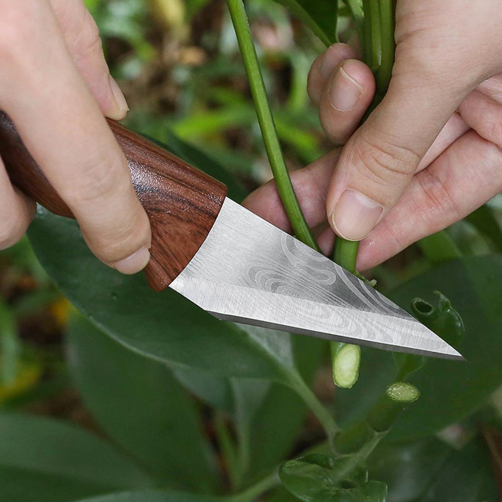 접목칼 접목 도구 접목 전정칼 전문 정원 과일나무 접목 - Harvest Knife Garden 리뷰 및 가격