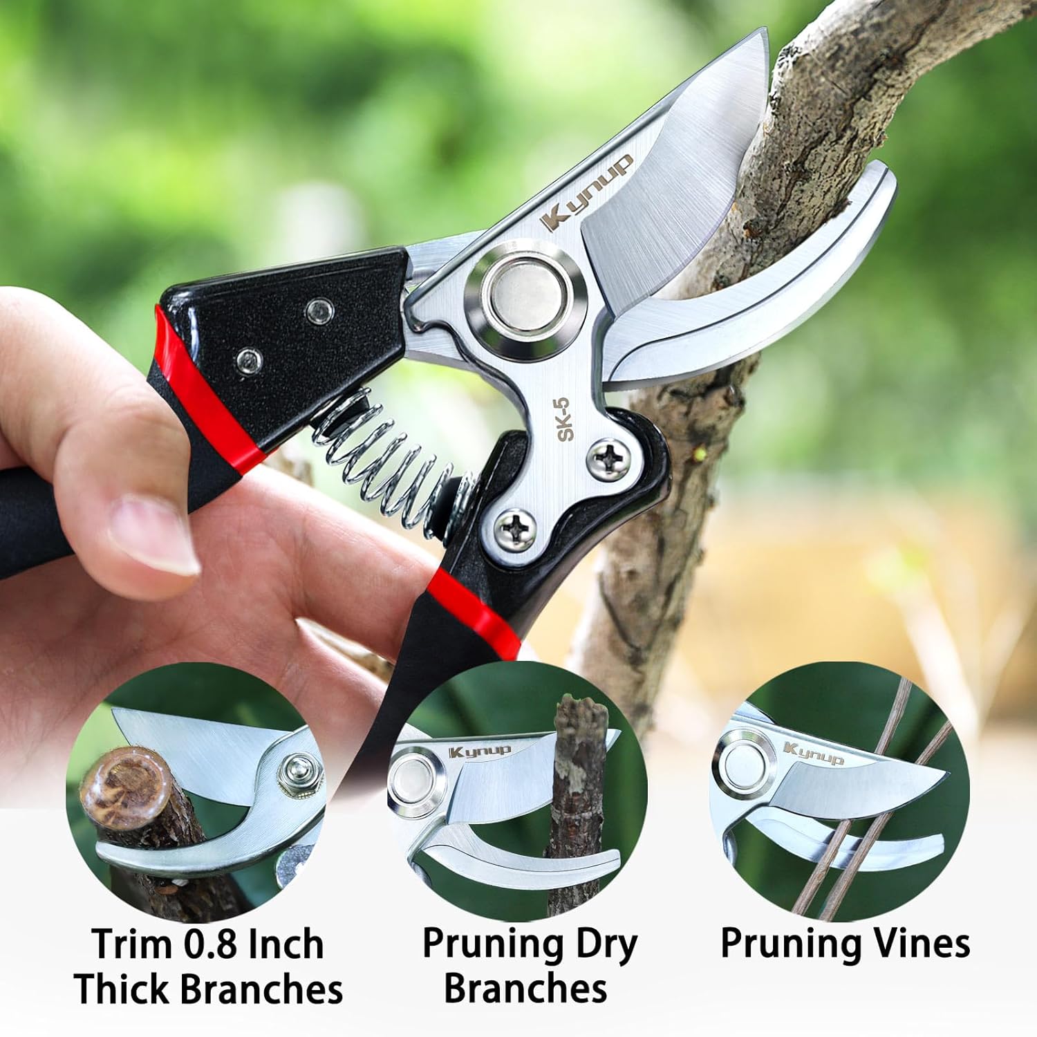 SK-5 강철 날이 있는 정원용 전정가위, 장미와 관목 - Pruning Shears 리뷰 및 가격