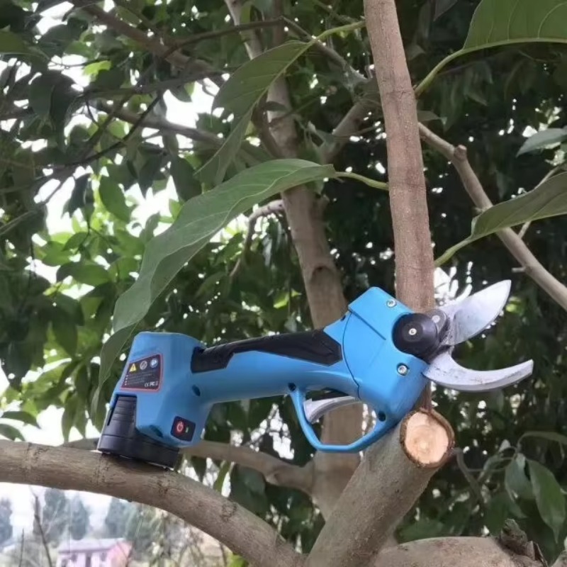 핫세일 공장 직판 고효율 전정가위 가지치기 가위 및 과 - Pruning Shears 리뷰 및 가격