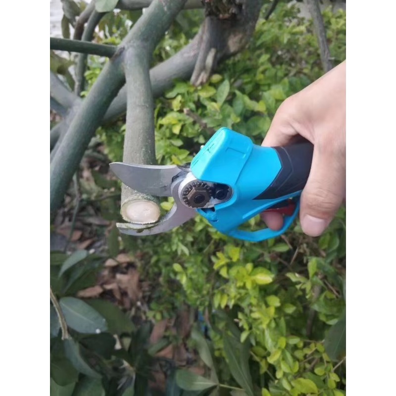 핫세일 공장 직판 고효율 전정가위 가지치기 가위 및 과 - Pruning Shears 리뷰 및 가격