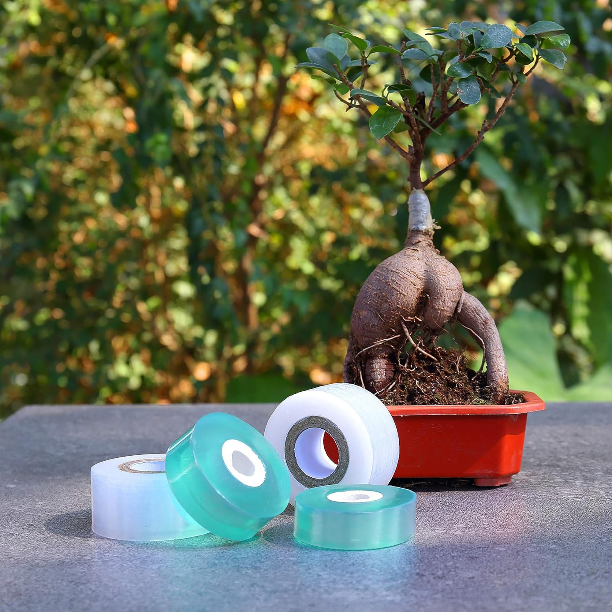 쉽게 사용할 수 있는 생분해성 자가 접착식 접목 테이프 - Gardening Tools Uses 리뷰 및 가격