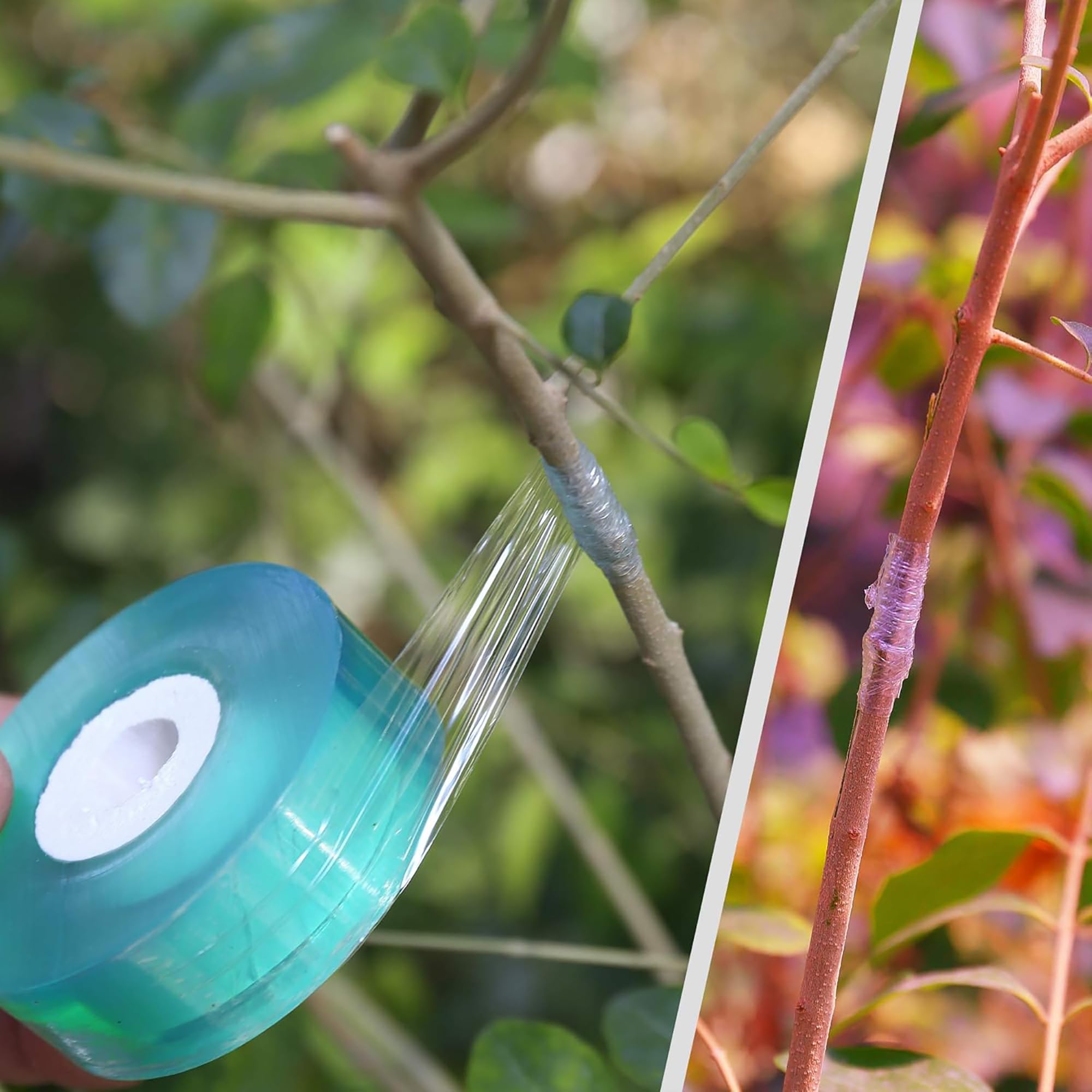 쉽게 사용할 수 있는 생분해성 자가 접착식 접목 테이프 - Gardening Tools Uses 리뷰 및 가격