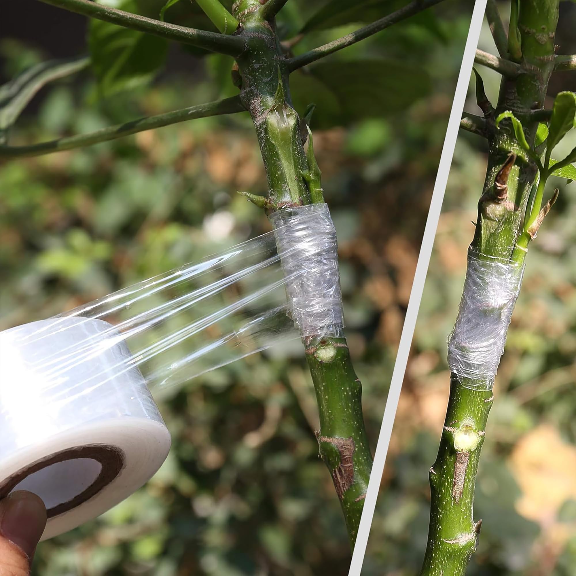 쉽게 사용할 수 있는 생분해성 자가 접착식 접목 테이프 - Gardening Tools Uses 리뷰 및 가격