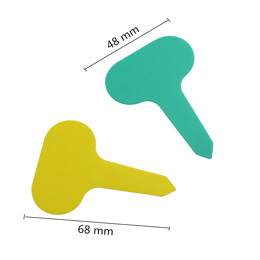 100pcs 정원 식물 레이블 PVC 식물 태그 보육  - Garden Label Marker 리뷰 및 가격