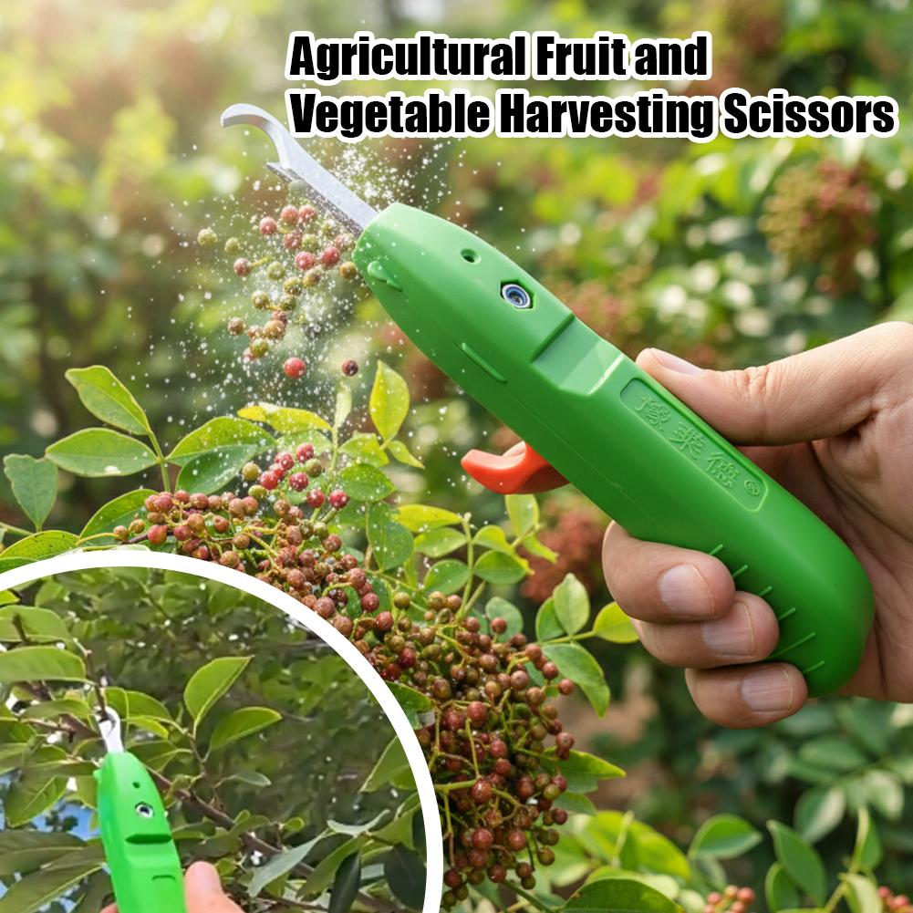 과일 및 채소 수확용 가위, 정원용 전정 가위, 곡선형 - Gardening Tools Vegetables 리뷰 및 가격