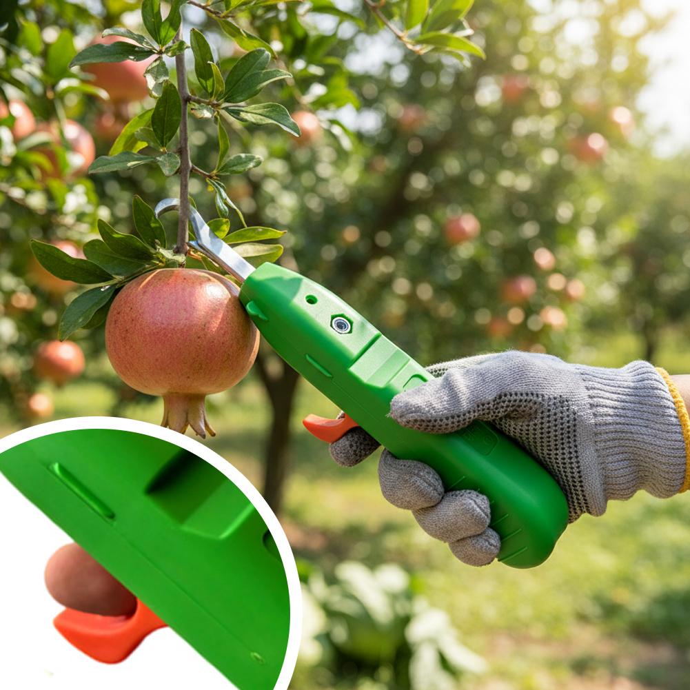 미니 전정가위 휴대용 전정 및 과일 따기 가위 고추 가 - Gardening Tools Scissors 리뷰 및 가격