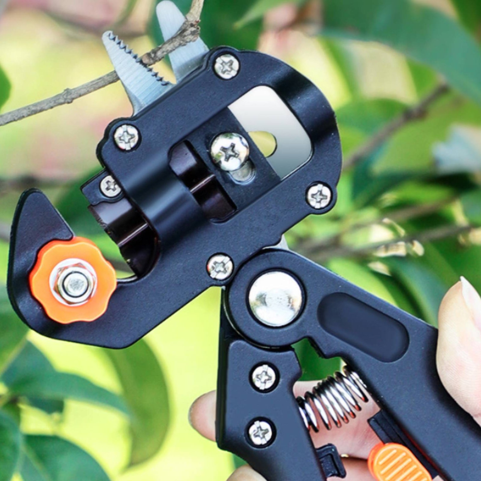 가지치기 접목 가위 2 in 1 과일나무 접목 절단기  - Pruning Shears 리뷰 및 가격