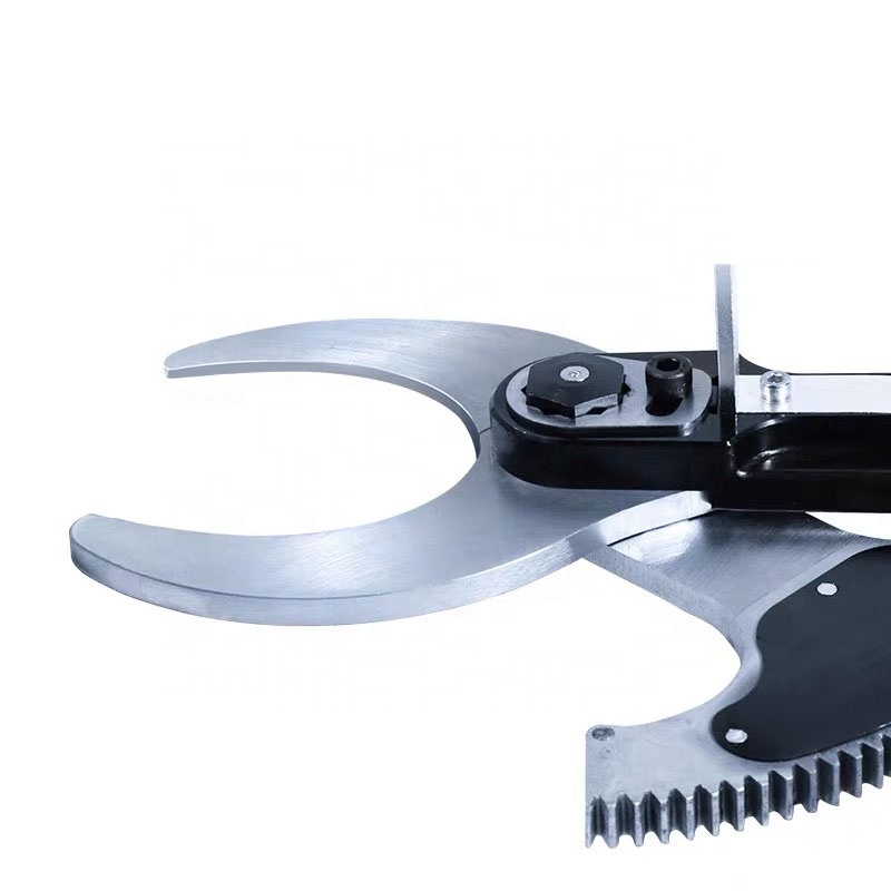 새로운 디자인의 대나무 농기구 고품질 전문가용 휴대용  - Pruning Shears 리뷰 및 가격