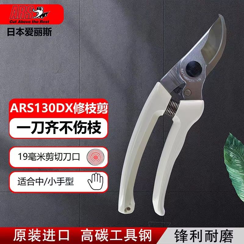 ARS 앨리스 전정 가위, 정원 도구, 나무 및 꽃 자 - Gardening Tools Japan 리뷰 및 가격
