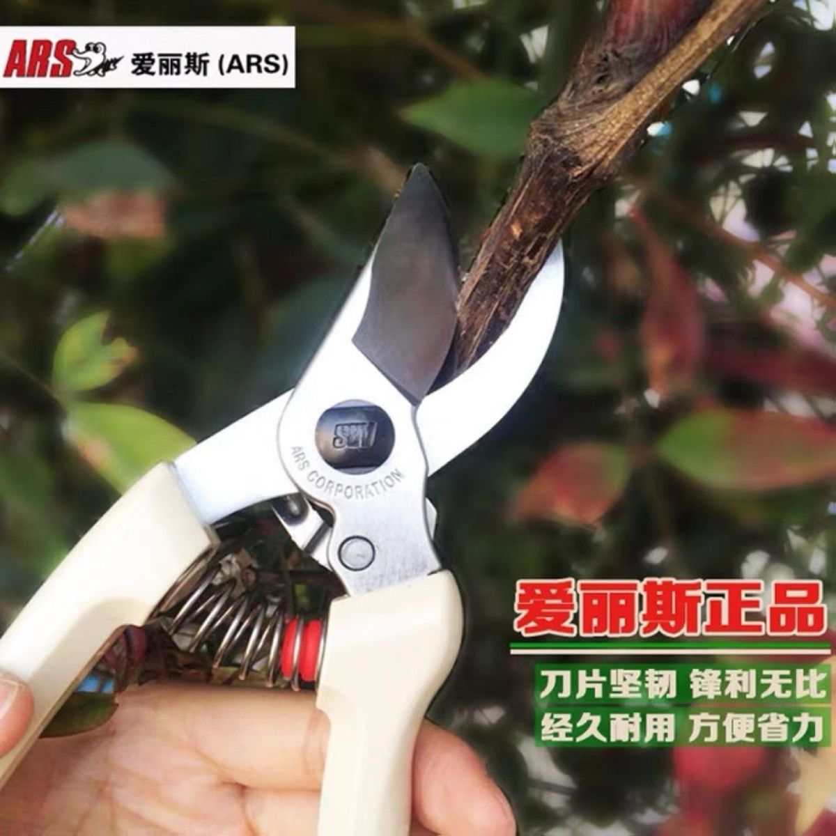 ARS 앨리스 전정 가위, 정원 도구, 나무 및 꽃 자 - Gardening Tools Japan 리뷰 및 가격