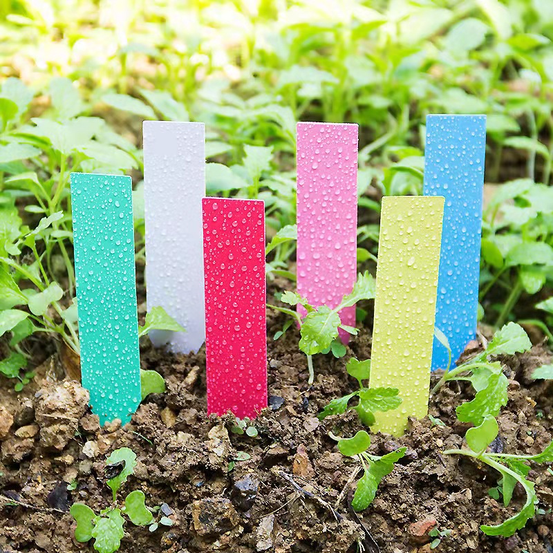 100Pcs 정원 식물 레이블 플라스틱 식물 태그 보육 - Garden Label Marker 리뷰 및 가격