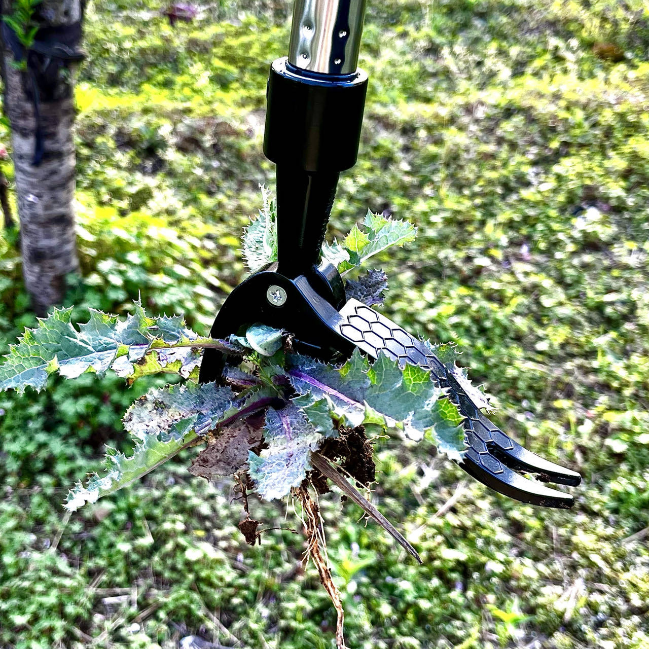 노동 절약 손 금속 잡초 추출기 스탠드 업 정원 손 도 - Gardening Tools Needed 리뷰 및 가격