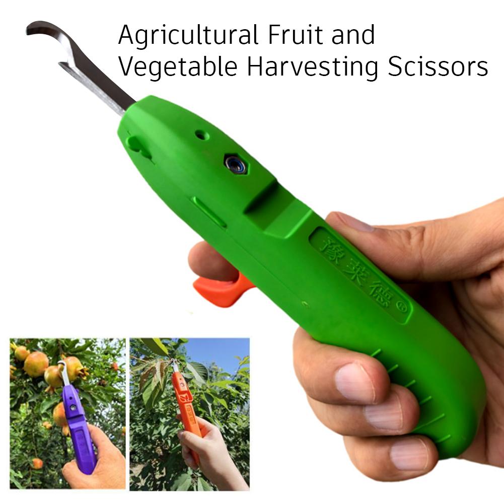 휴대용 과일 채소 빠른 수확 다기능 정원 가꾸기 가지치 - Gardening Tools Vegetables 리뷰 및 가격
