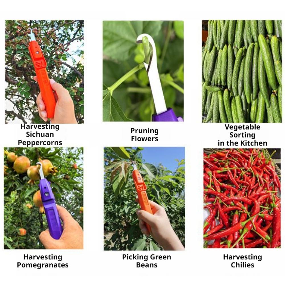 휴대용 과일 채소 빠른 수확 다기능 정원 가꾸기 가지치 - Gardening Tools Vegetables 리뷰 및 가격