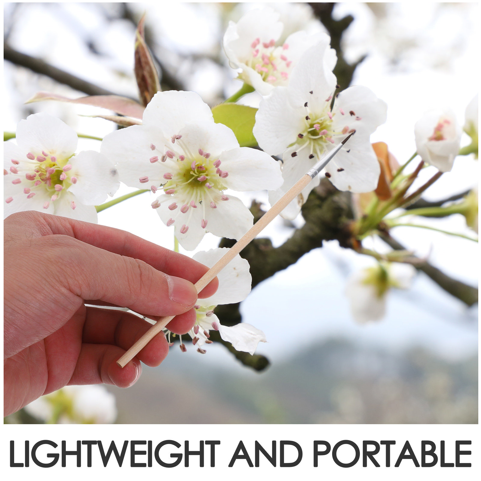 24개입 정원 꽃가루 이식 브러쉬, 과일, 채소, 꽃, - Gardening Tools Vegetables 리뷰 및 가격
