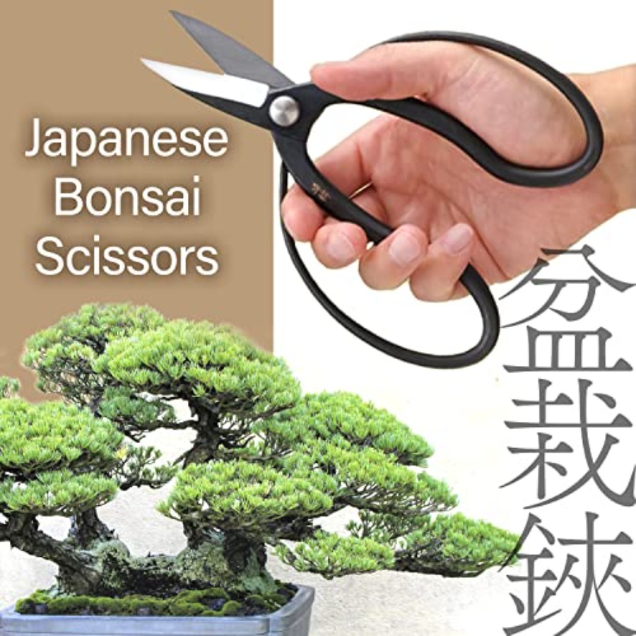 일본 수이류 분재 가위 - 전통 하사미 전정 가위, 일 - Gardening Tools Japan 리뷰 및 가격