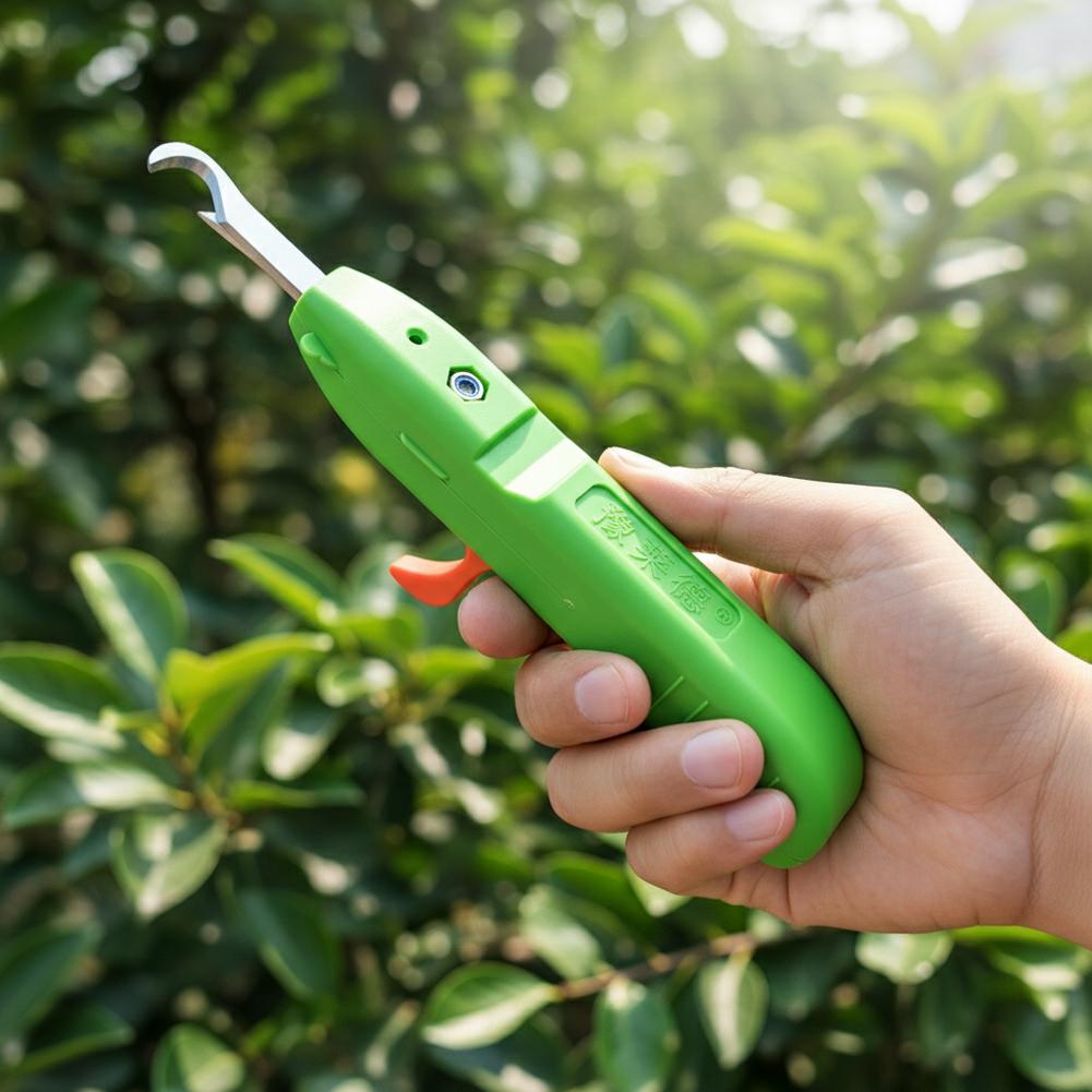 과일 채소 빠른 수확 다기능 정원 가꾸기 가지치기 도구 - Gardening Tools Vegetables 리뷰 및 가격