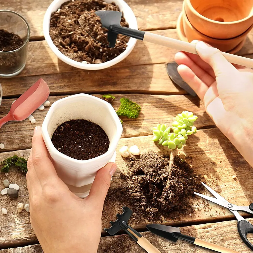 다육 식물 도구 세트, 실내 식물 가정 정원 키트, 검 - Gardening Tools Sale 리뷰 및 가격