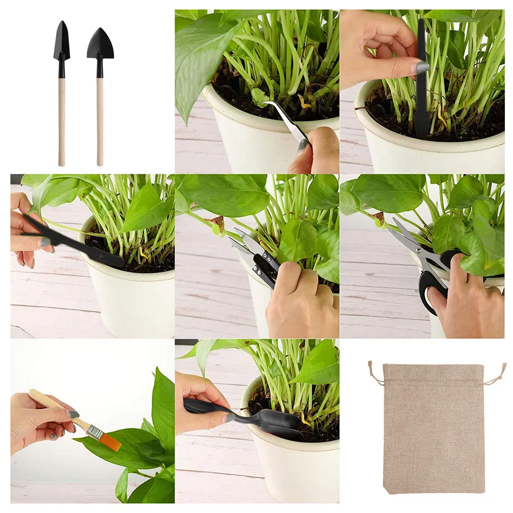 다육 식물 도구 세트, 실내 식물 가정 정원 키트, 검 - Gardening Tools Sale 리뷰 및 가격