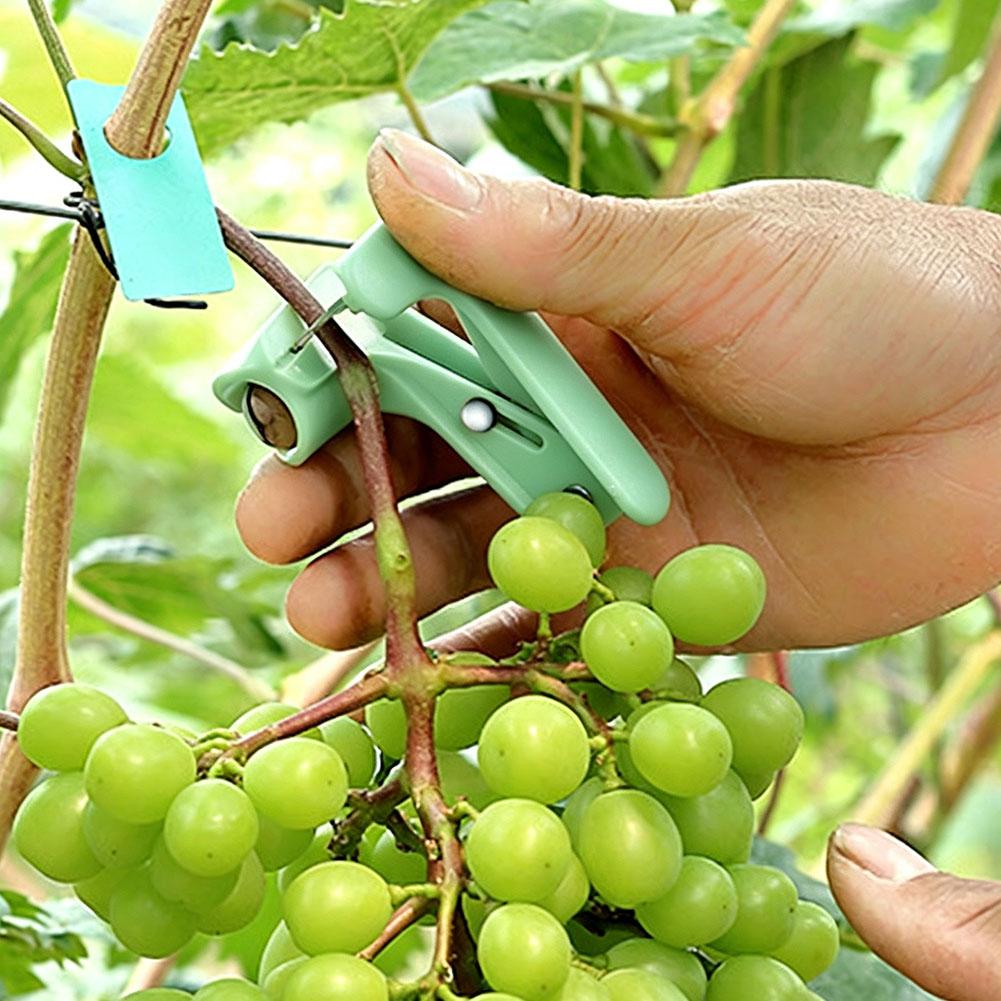 다기능 엄지칼, 차 잎 따기, 잎 다듬기 및 농장 과수 - Harvest Knife Garden 리뷰 및 가격