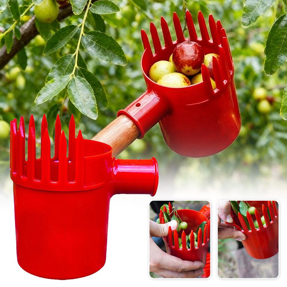 휴대용 과일 수확기 바구니형 헤드 높은 나무 수확기 사 - Gardening Tools Rack 리뷰 및 가격