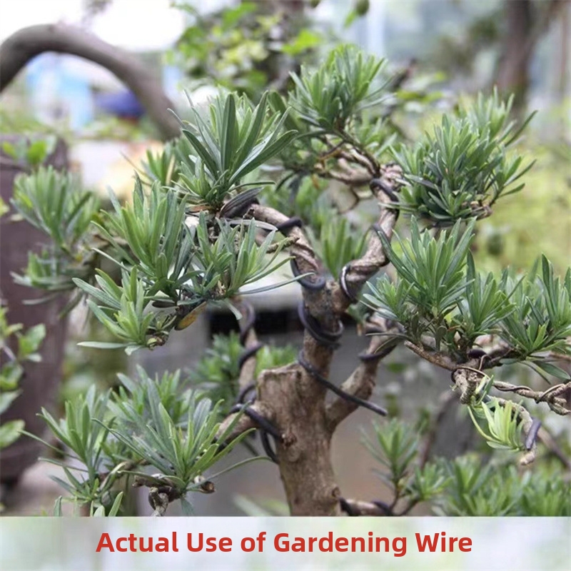1.5MM 분재 와이어 알루미늄 분재 훈련용 와이어 모 - Gardening Tools Uses 리뷰 및 가격