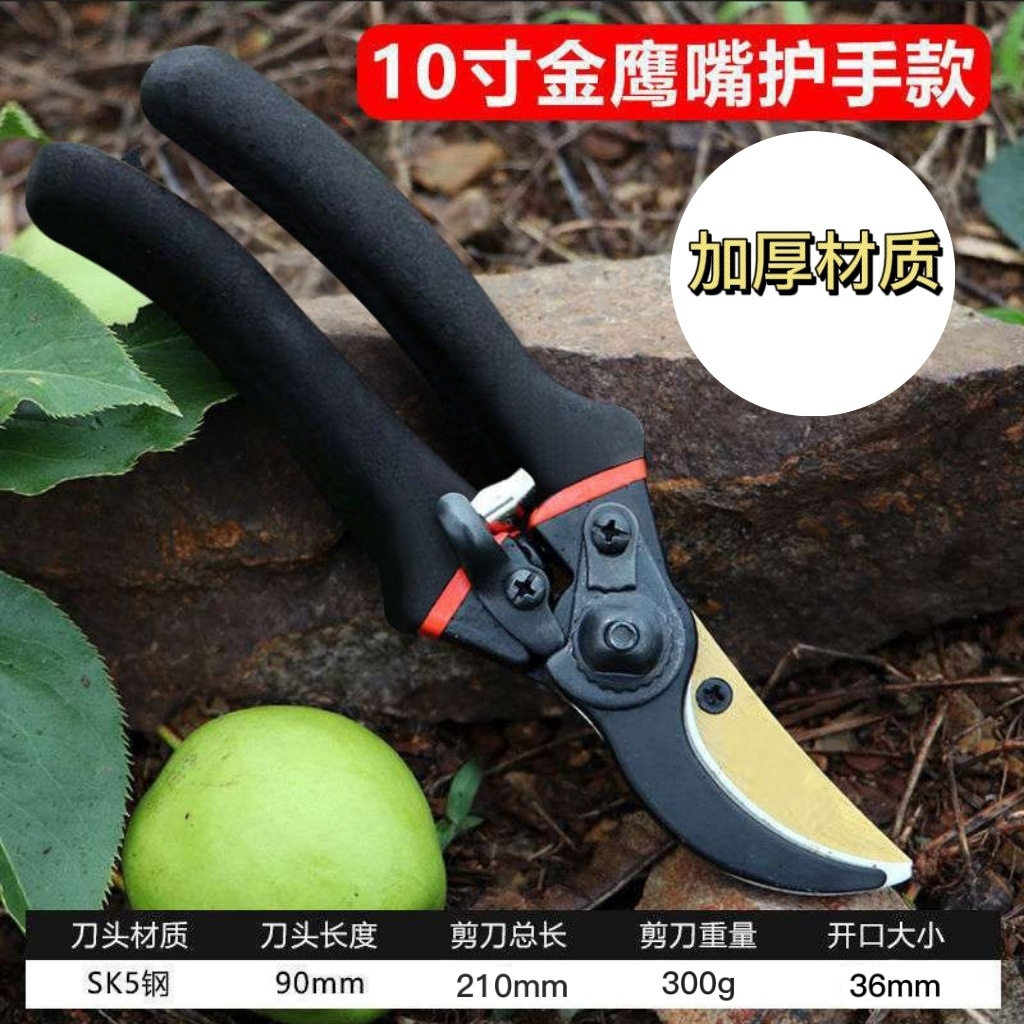 일본산 SK5 강철 가지치기 가위, 과수 전정 가위,  - Gardening Tools Japan 리뷰 및 가격