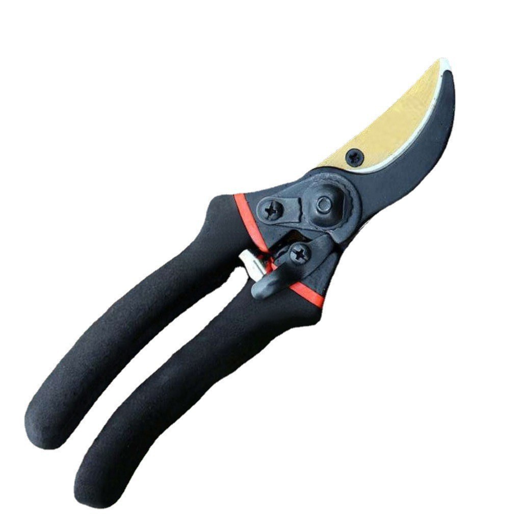 일본산 SK5 강철 가지치기 가위, 과수 전정 가위,  - Gardening Tools Japan 리뷰 및 가격