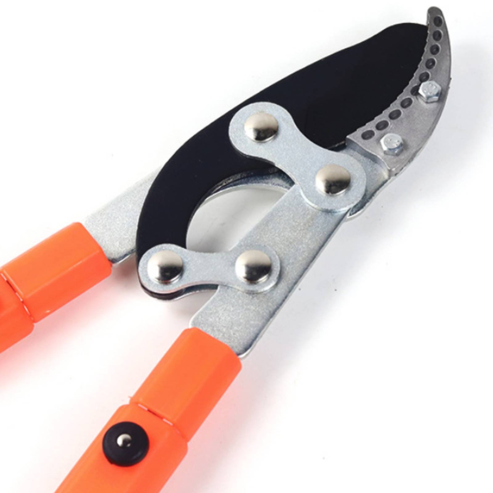 텔레스코픽 가지치기 가위 날카로운 칼날 튼튼한 트리 프 - Pruning Shears 리뷰 및 가격