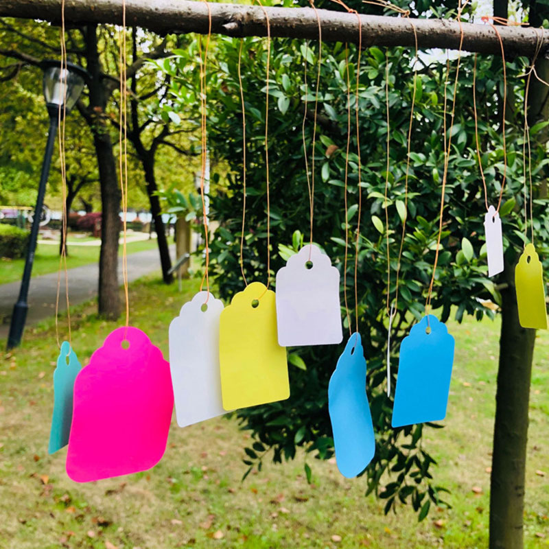 밧줄로 100pcs 식물 레이블 PVC 식물 매달려 태 - Garden Label Marker 리뷰 및 가격