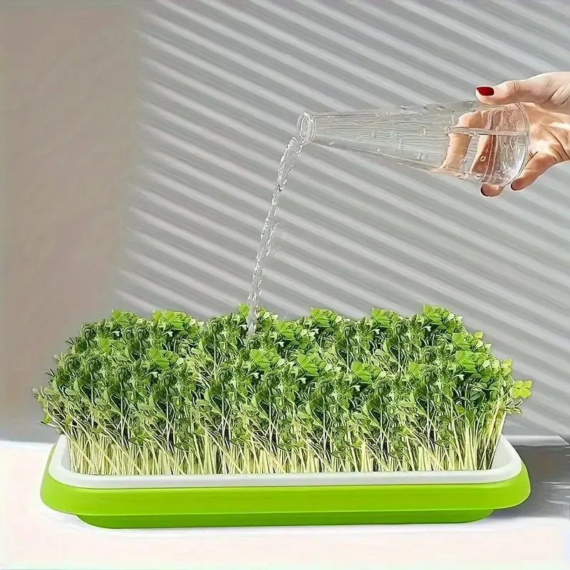 최신형 묘목 트레이 세트, 무토양 재배 발아 트레이,  - Gardening Tools Vegetables 리뷰 및 가격