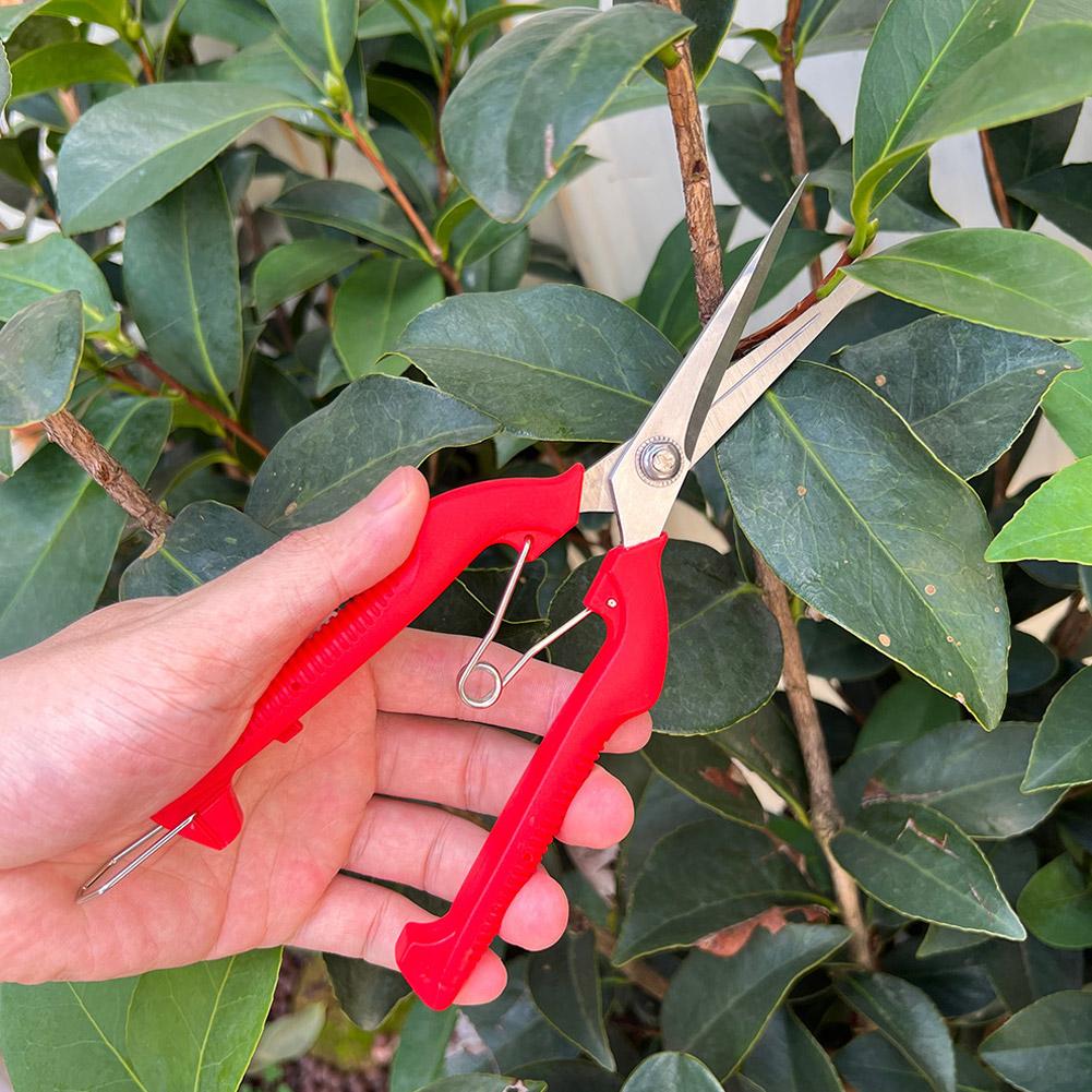 프로 가든 전정가위 연장형 나무 꽃 가위 수제 분재 가 - Gardening Tools Vegetables 리뷰 및 가격