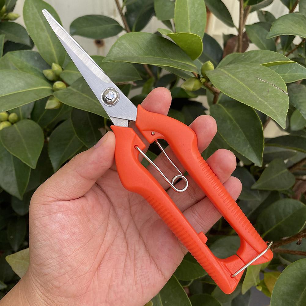 프로 가든 전정가위 연장형 나무 꽃 가위 수제 분재 가 - Gardening Tools Vegetables 리뷰 및 가격