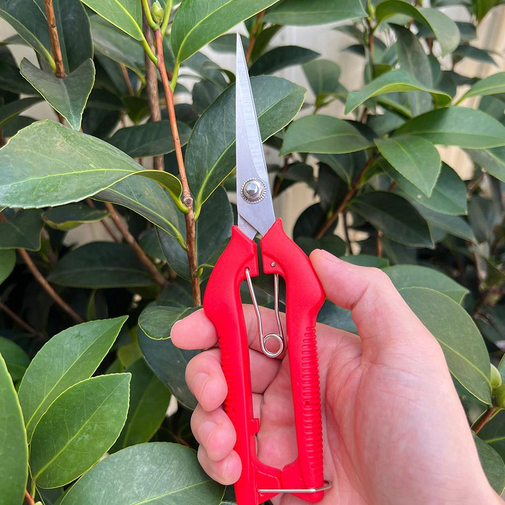프로 가든 전정가위 연장형 나무 꽃 가위 수제 분재 가 - Gardening Tools Vegetables 리뷰 및 가격