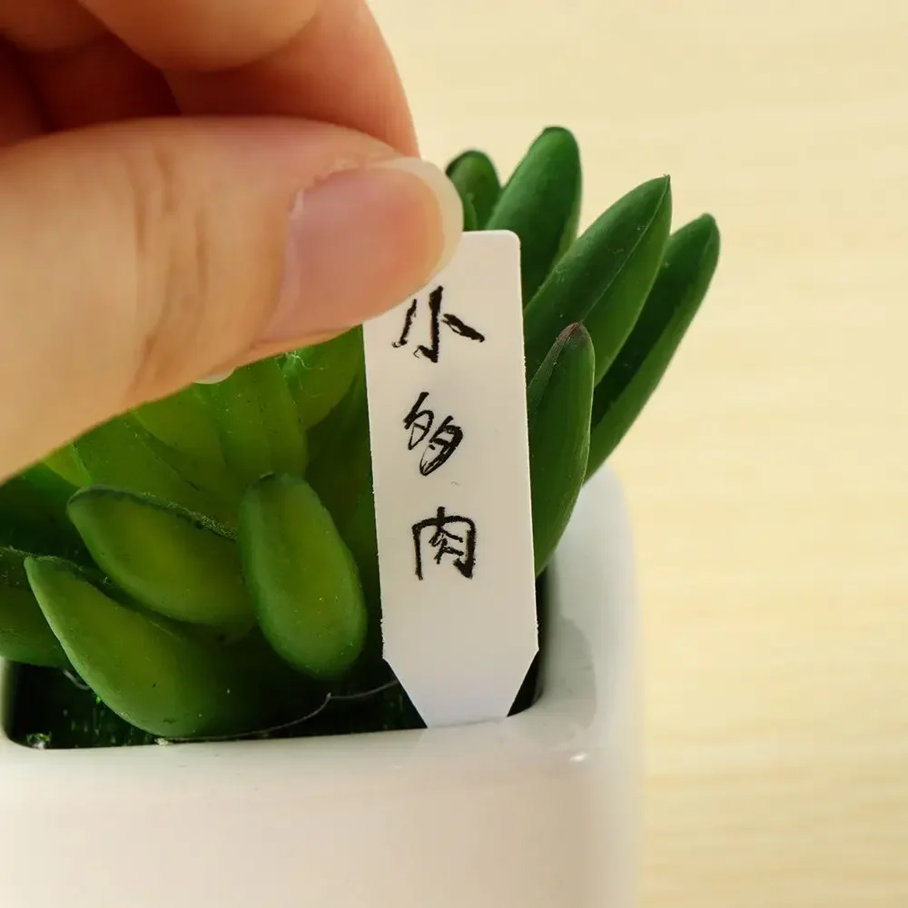100Pcs 재사용 가능한 분류 마커 방수 씨앗 식물  - Garden Label Marker 리뷰 및 가격