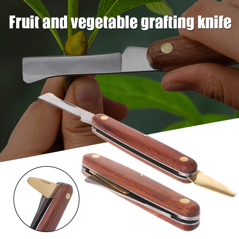 접목 도구 접이식 가지 치기 칼, 전문 정원 접목 커터 - Harvest Knife Garden 리뷰 및 가격