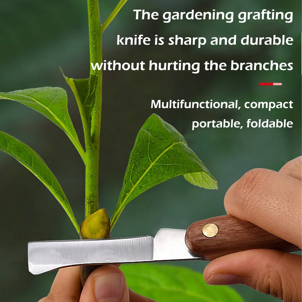 접목 도구 접이식 가지 치기 칼, 전문 정원 접목 커터 - Harvest Knife Garden 리뷰 및 가격