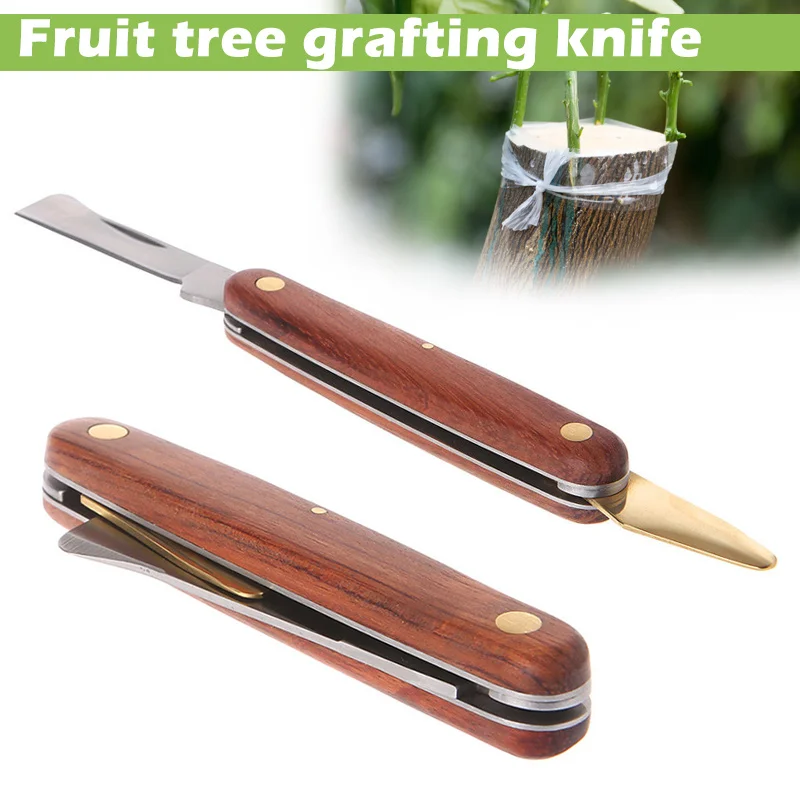 접목 도구 접이식 가지 치기 칼, 전문 정원 접목 커터 - Harvest Knife Garden 리뷰 및 가격