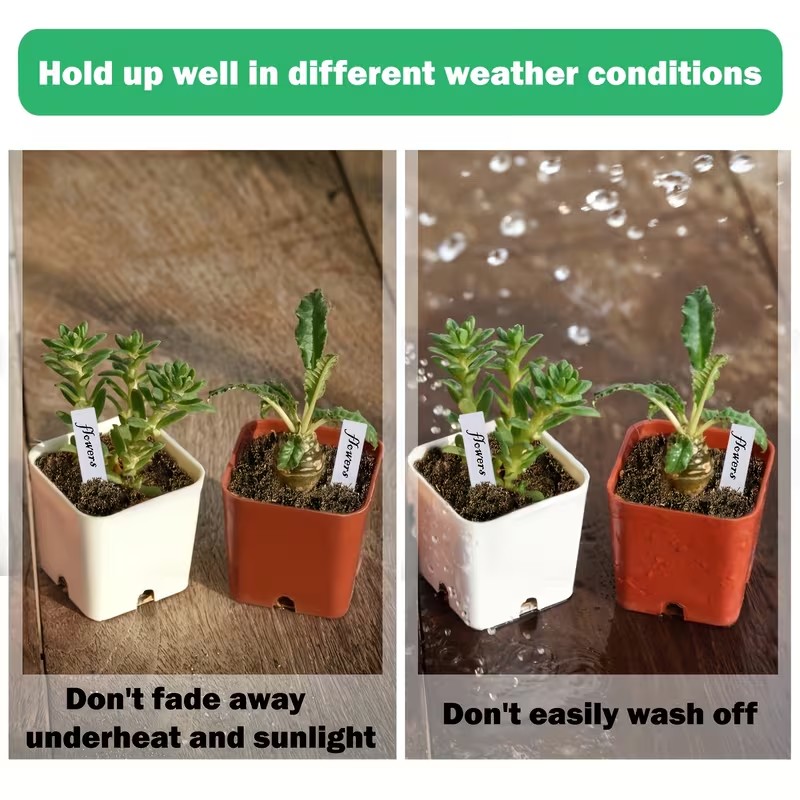 100개 흰색 방수 식물 라벨 – 10x2cm, 내구성 - Garden Label Marker 리뷰 및 가격