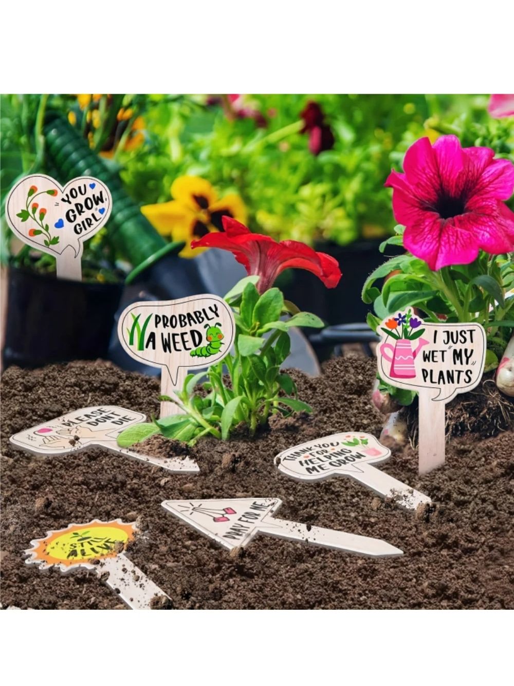 5/10Pcs 다육 꽃과 녹색 식물을위한 식물 라벨 야 - Garden Label Marker 리뷰 및 가격
