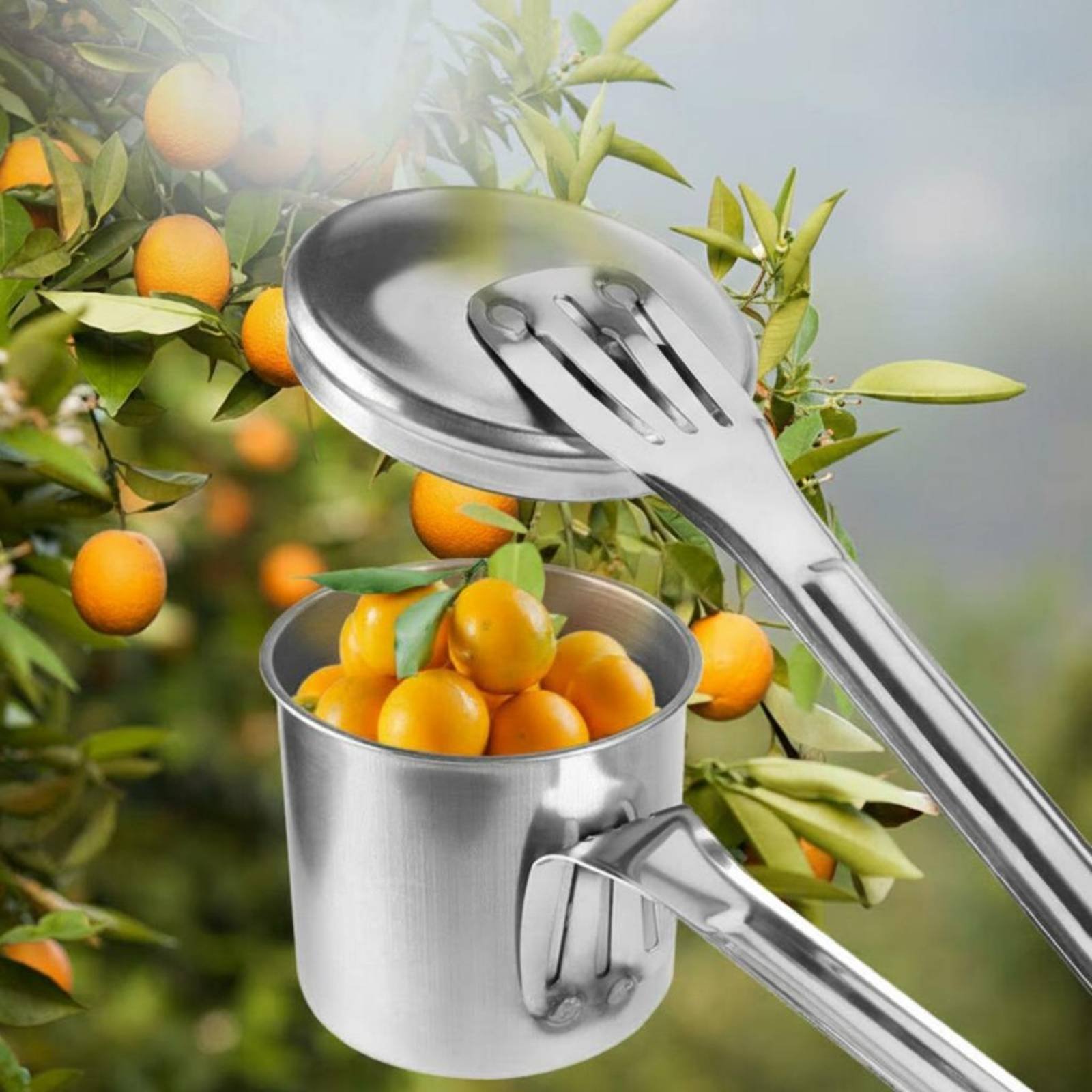 컵형 과일 따는 도구 스테인레스 스틸 과일 따는 도구  - Gardening Tools Uses 리뷰 및 가격