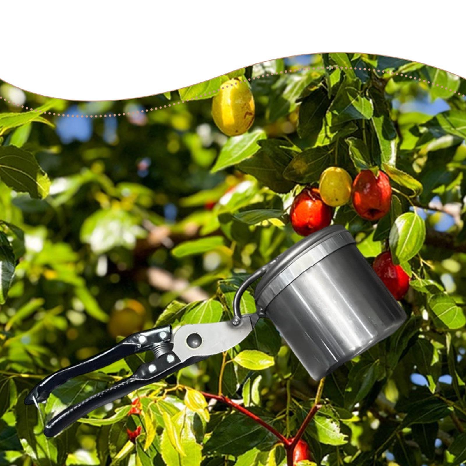 과일 선택기, 사용하기 쉬운 휴대용 원예 도구, 수동  - Gardening Tools Vegetables 리뷰 및 가격