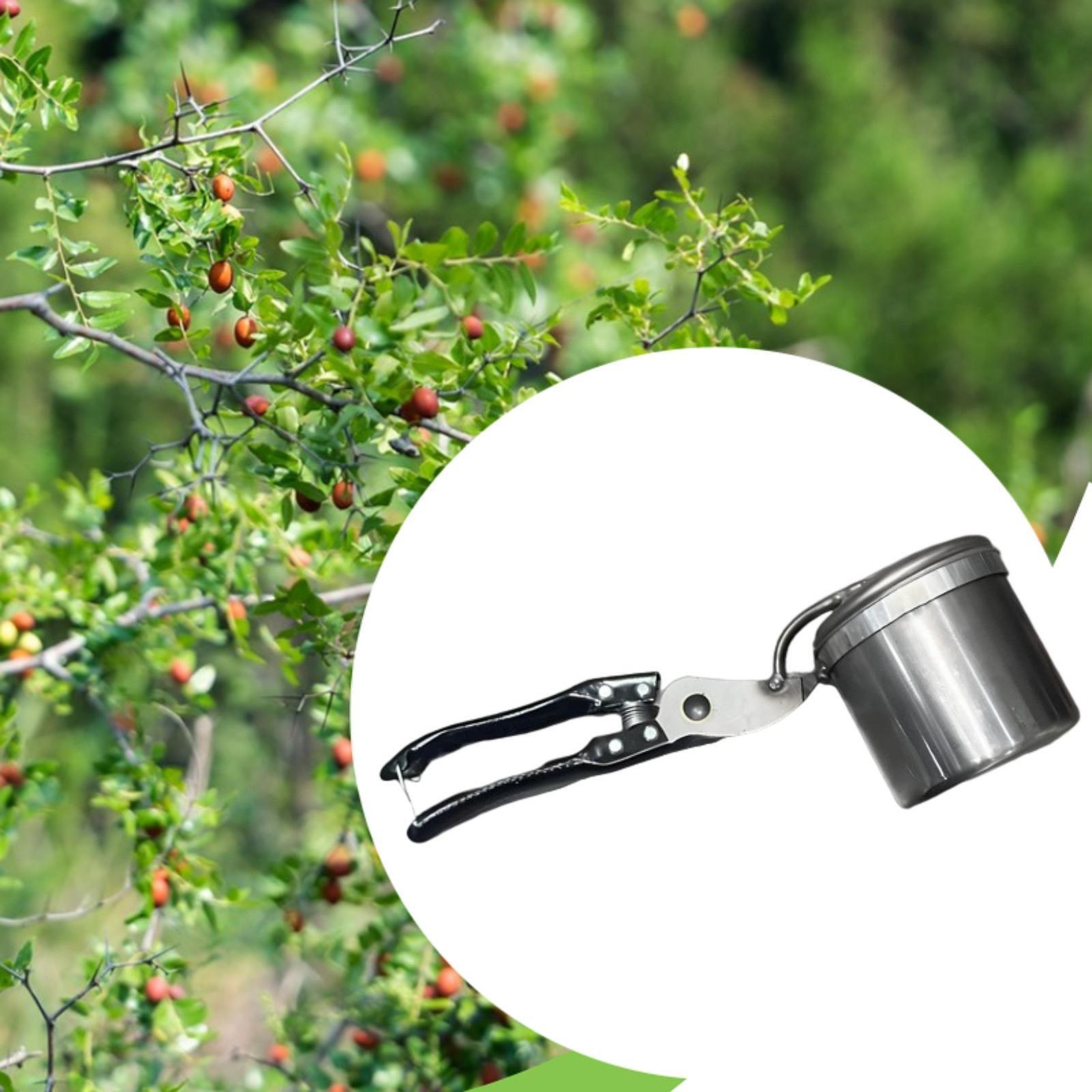 과일 선택기, 사용하기 쉬운 휴대용 원예 도구, 수동  - Gardening Tools Vegetables 리뷰 및 가격