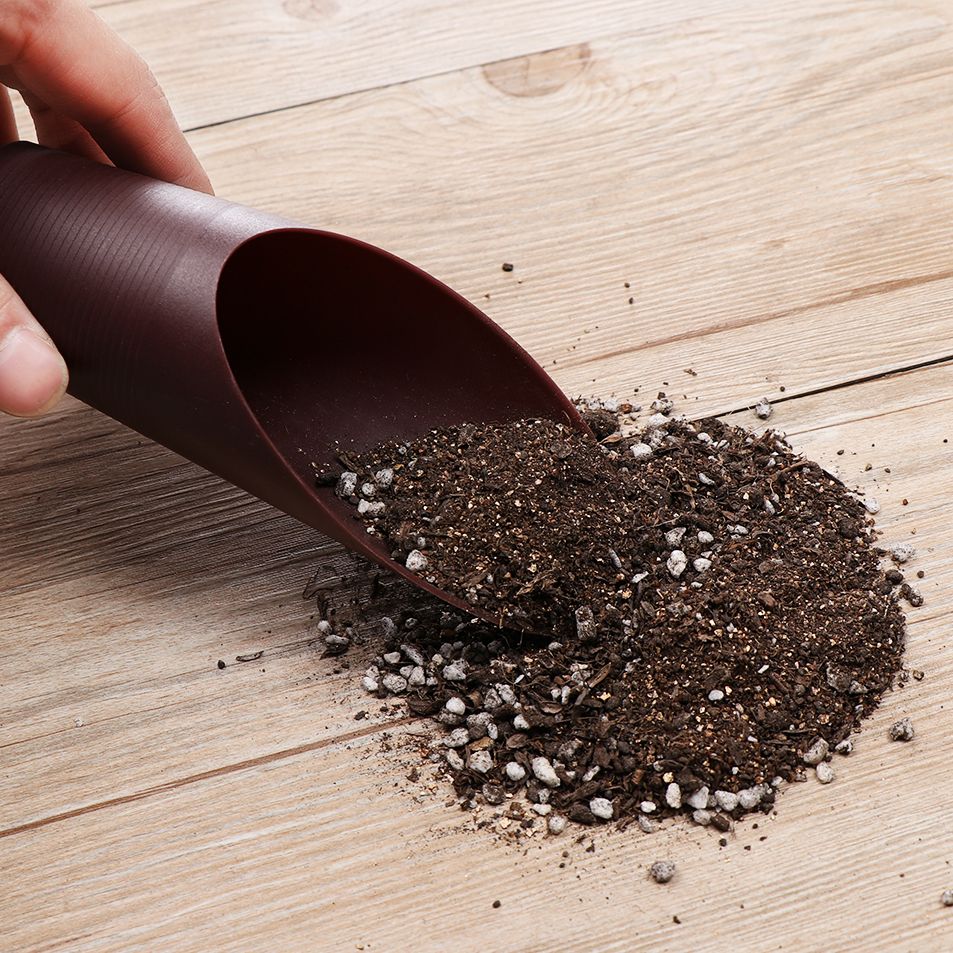 정원용 플라스틱 토양 삽 컵, 토양 스페이드 재배 양동 - Gardening Tools Sale 리뷰 및 가격